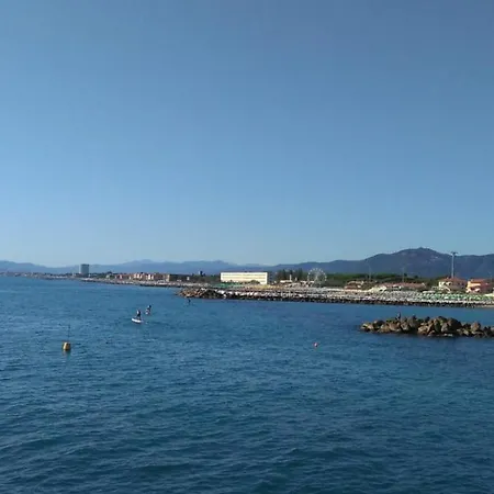 Mare Pital *